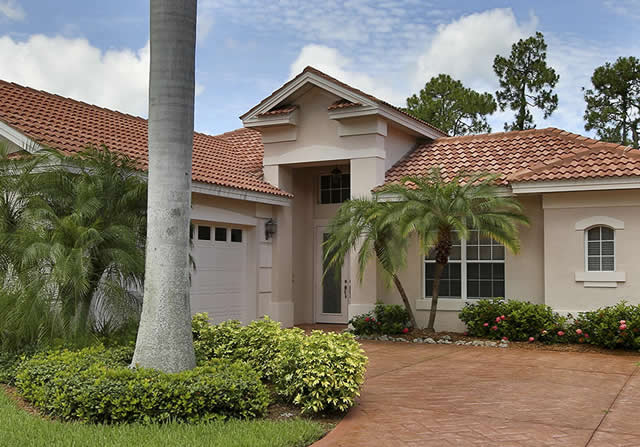 Eagle For Sale in Florida | Ultra Estate